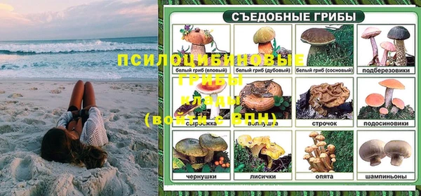 индика Алексин