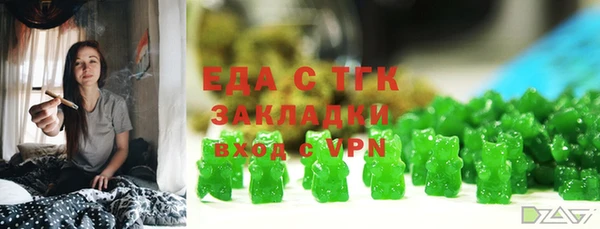 индика Алексин