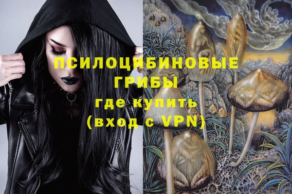 индика Алексин