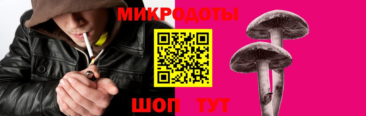 Тюмень  Галлюциногенные грибы Cubensis  Вход с VPN 